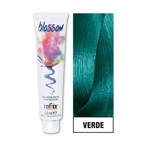 Blossom Tinte Fantasia Verde 60ml